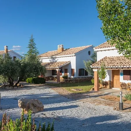 Ibipozo Pozo Alcon